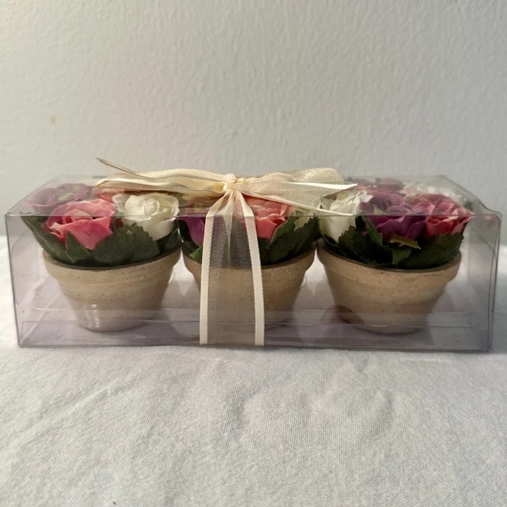 Miniature Terracotta Potted Rose Arrangements